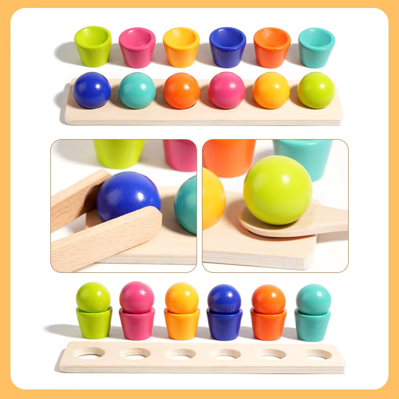 Balls and cups montessori