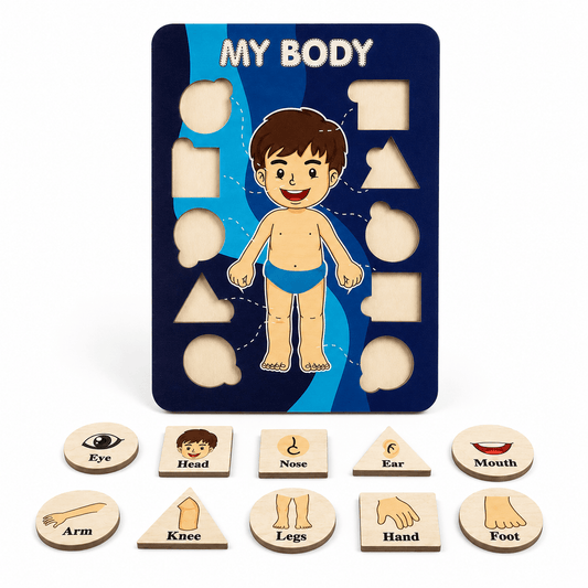 Human Body Puzzle Montessori