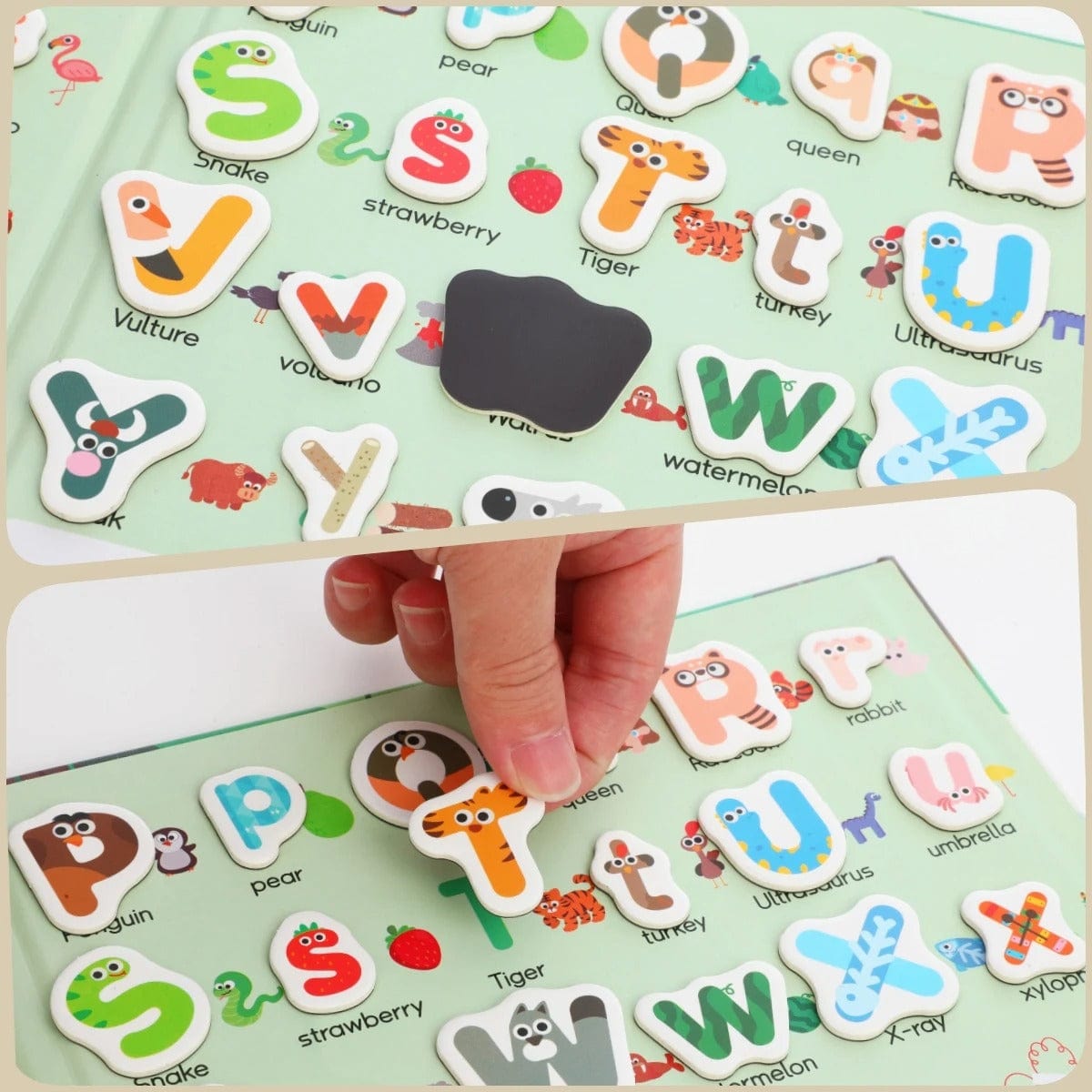 Montessori Alphabet Book