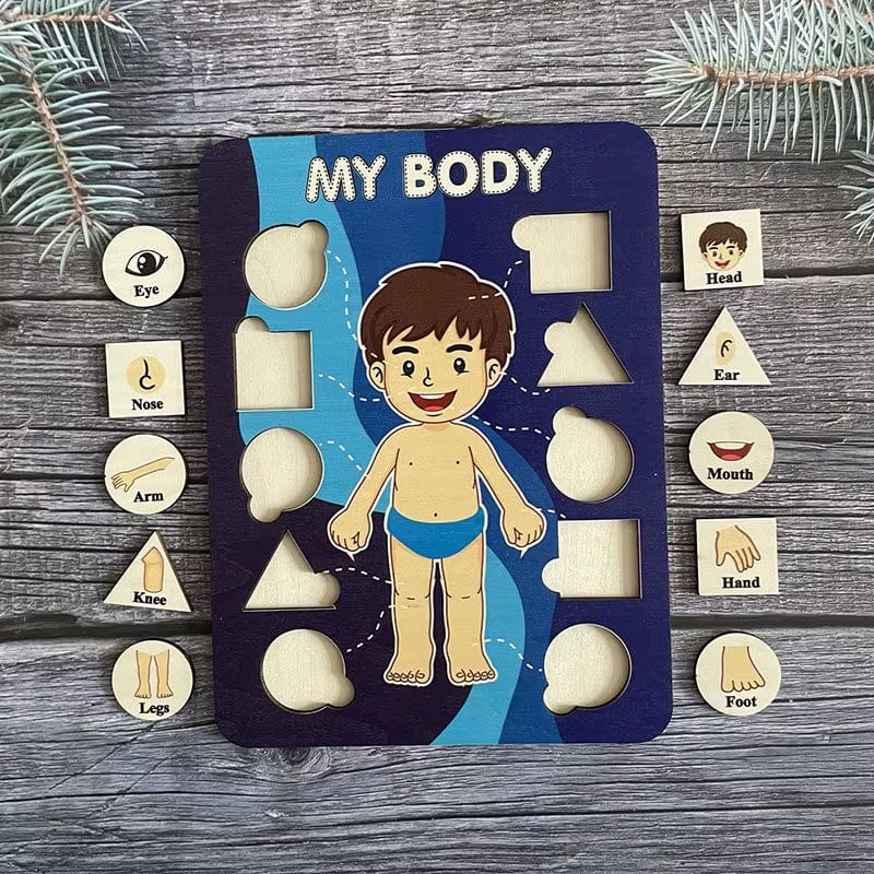 Montessori Body Parts Cards