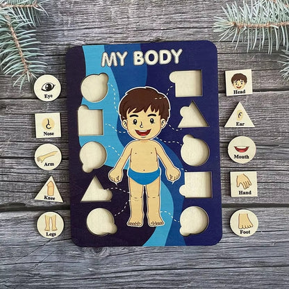 Montessori Body Parts Cards