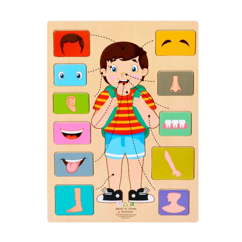 Montessori Body Parts Cards