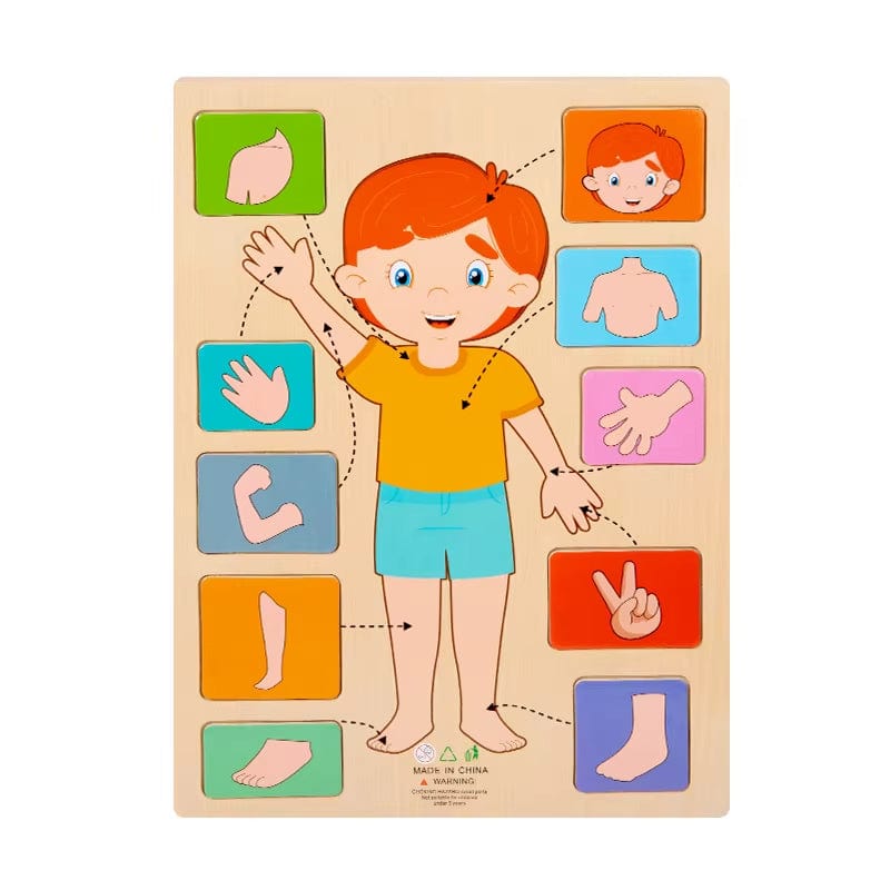 Montessori Body Parts Cards