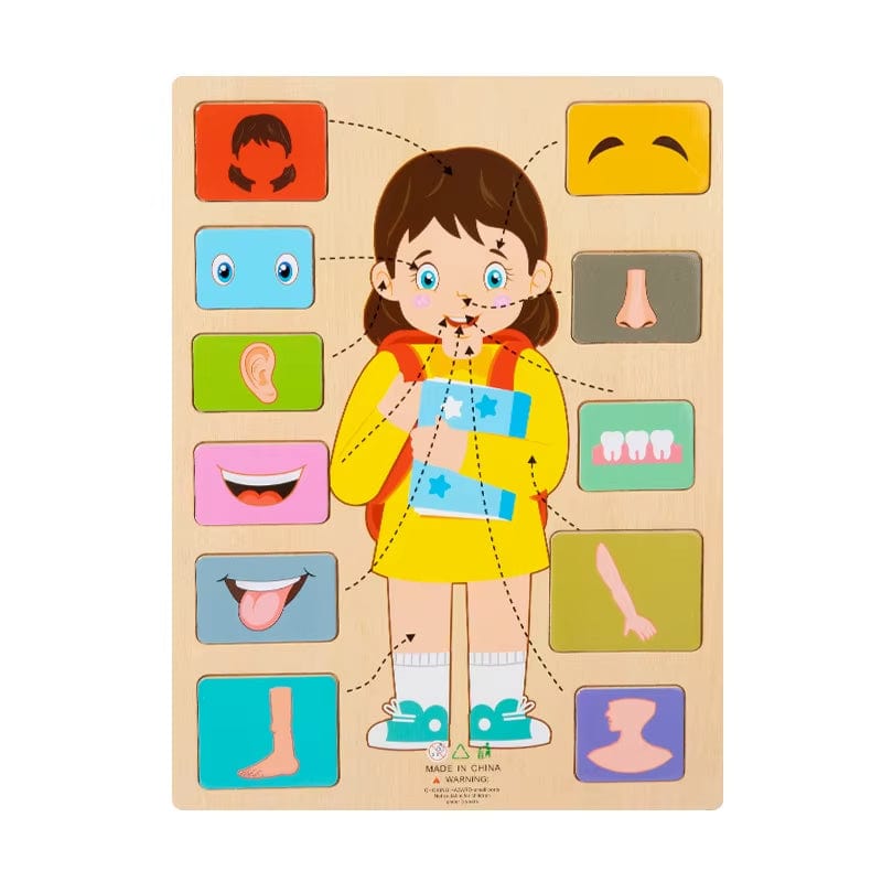 Montessori Body Parts Cards