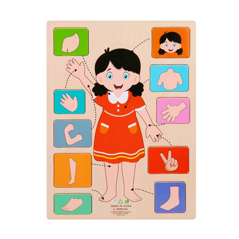 Montessori Body Parts Cards