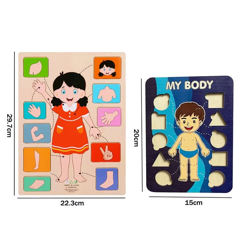 Montessori Body Parts Cards