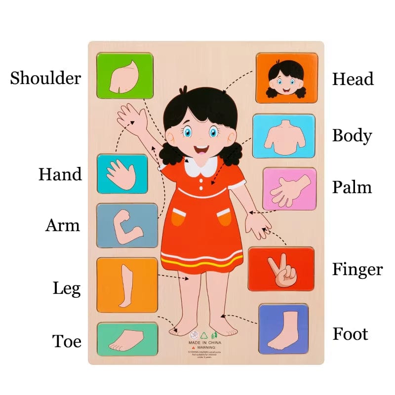 Montessori Body Parts Cards