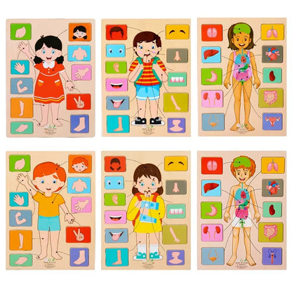 Montessori Body Parts Cards