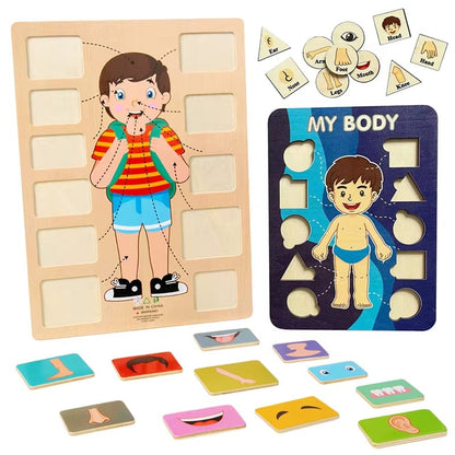 Montessori Body Parts Cards