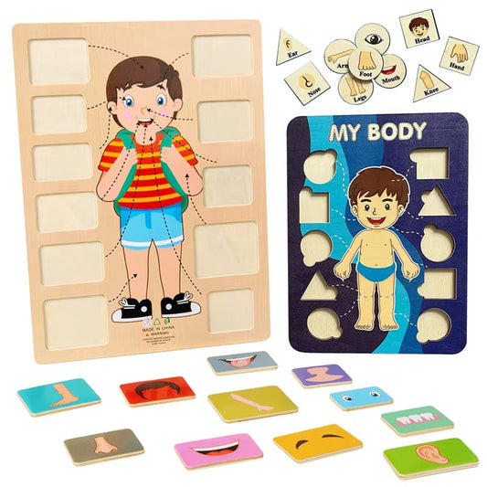 Montessori Body Parts Cards
