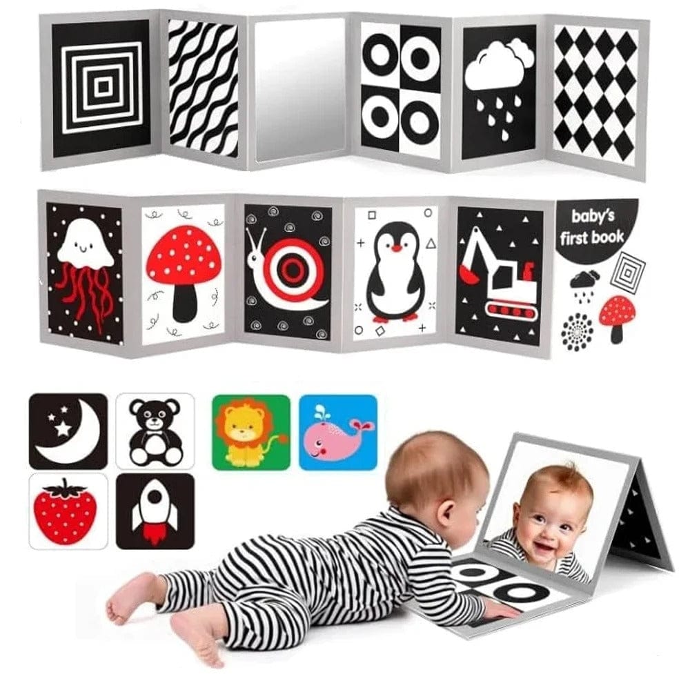 Montessori High Contrast Cards