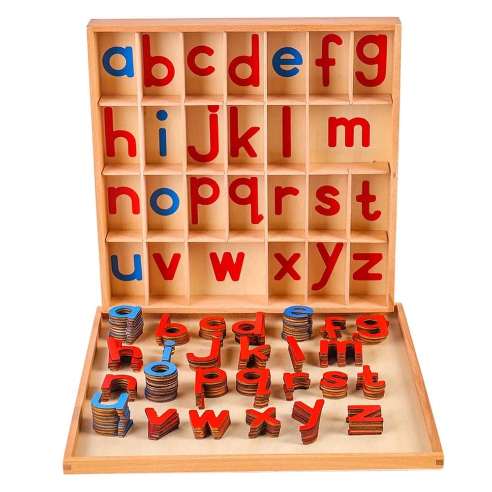 Montessori Moving Alphabet