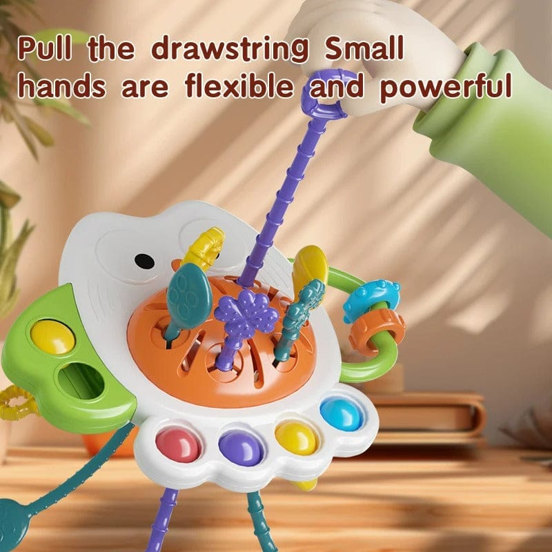 Montessori Pull String Toys