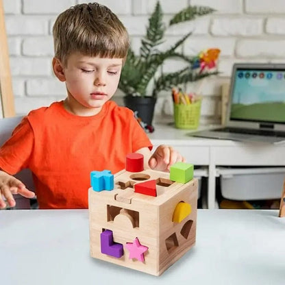 Montessori Shape Sorter