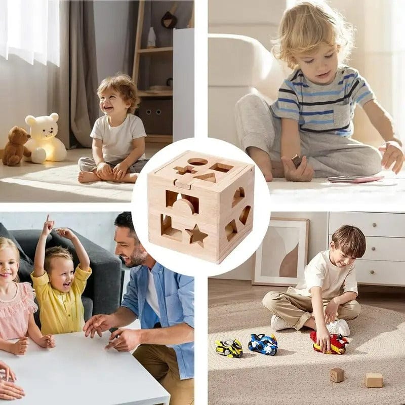 Montessori Shape Sorter