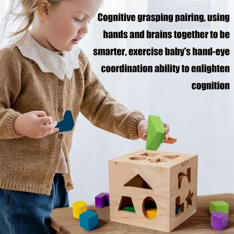 Montessori Shape Sorter