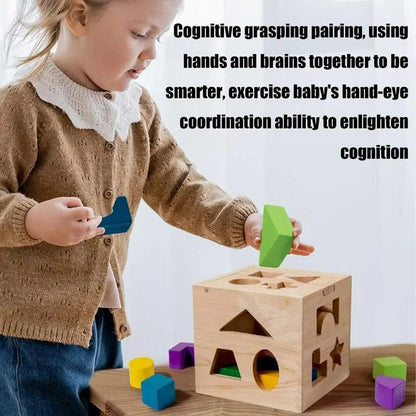 Montessori Shape Sorter