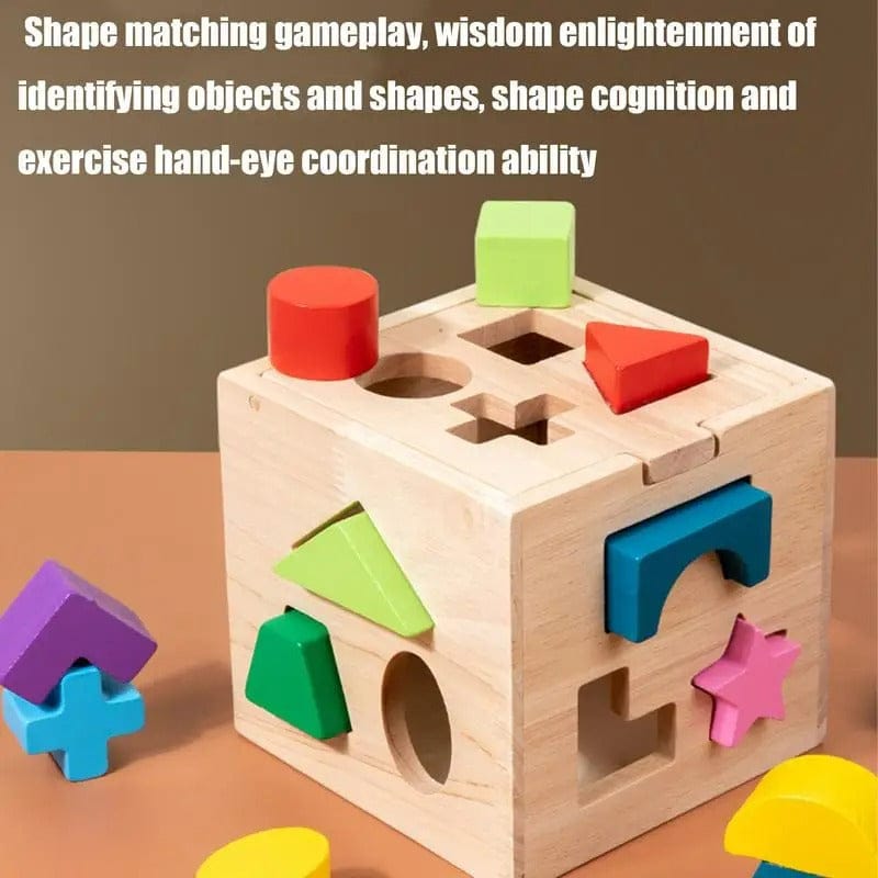 Montessori Shape Sorter