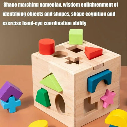 Montessori Shape Sorter