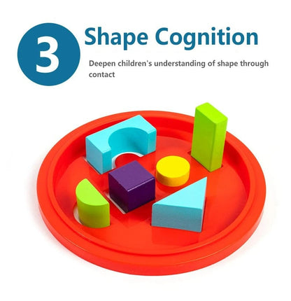 Montessori Wooden Blocks