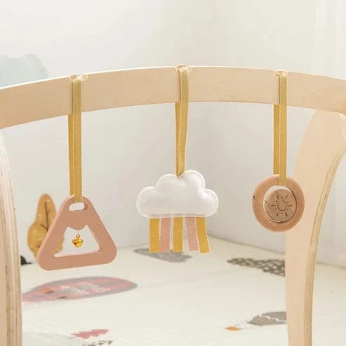 Montessori Wooden Play Gym