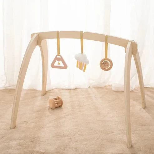 Montessori Wooden Play Gym