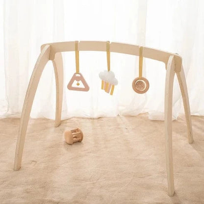 Montessori Wooden Play Gym